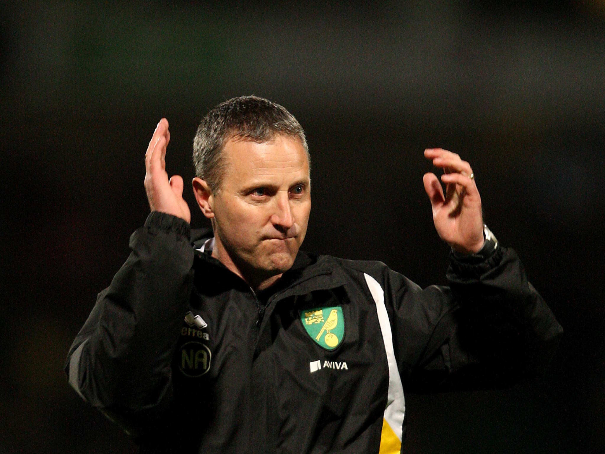 Neil Adams has been given five matches to keep Norwich in the Premier League after Chris Hughton was sacked