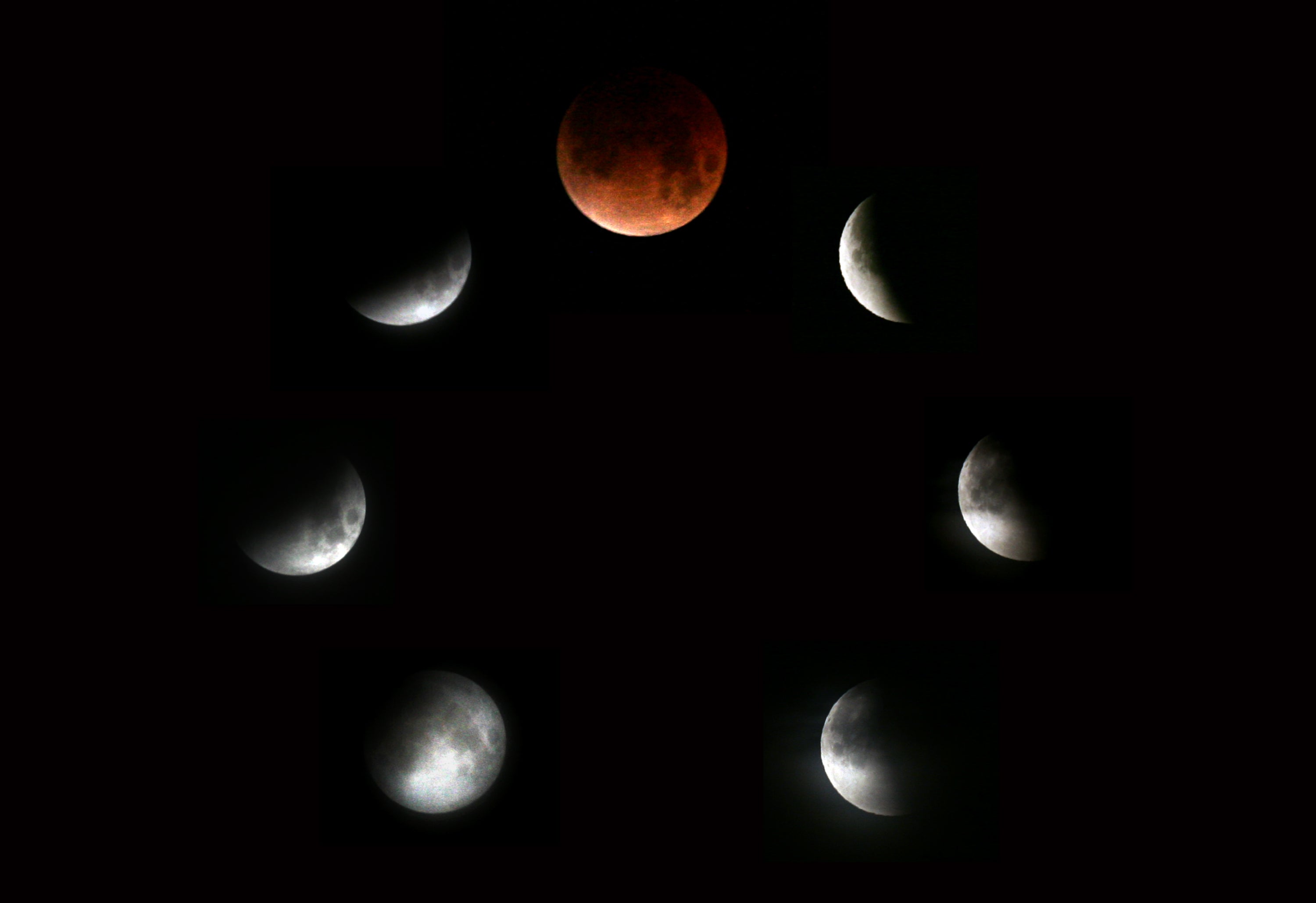 A composite image showing the various stages of a lunar eclipse from 2007.