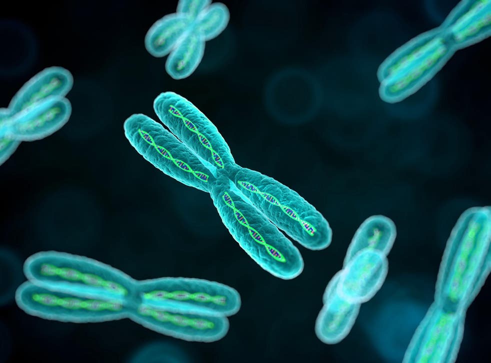 Children brought up in severely deprived backgrounds are more likely to show ageing in their chromosomes compared to more privileged children, according to a new study
