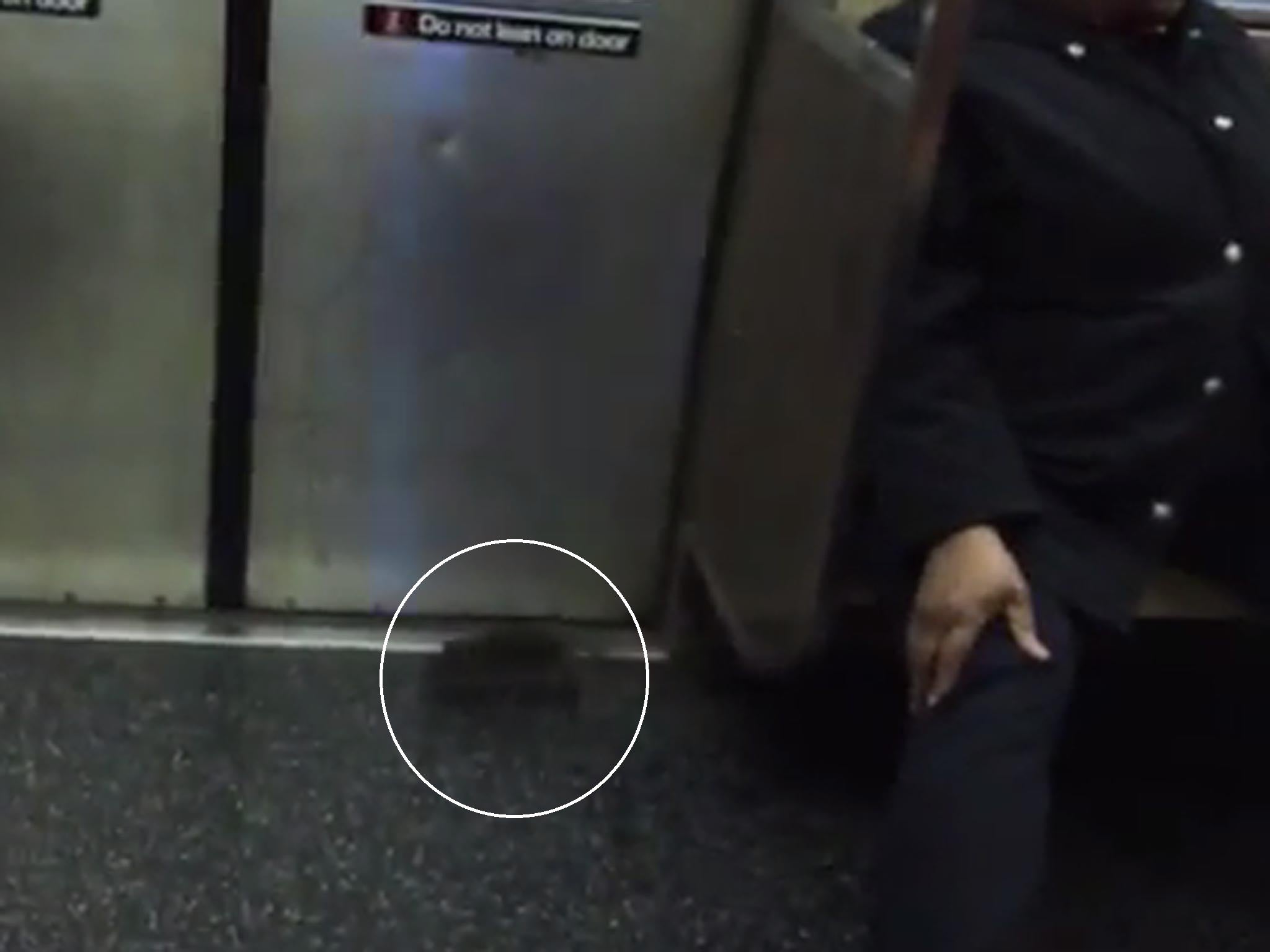 The rat rushes across the carriage, leaving passengers scared for their lives