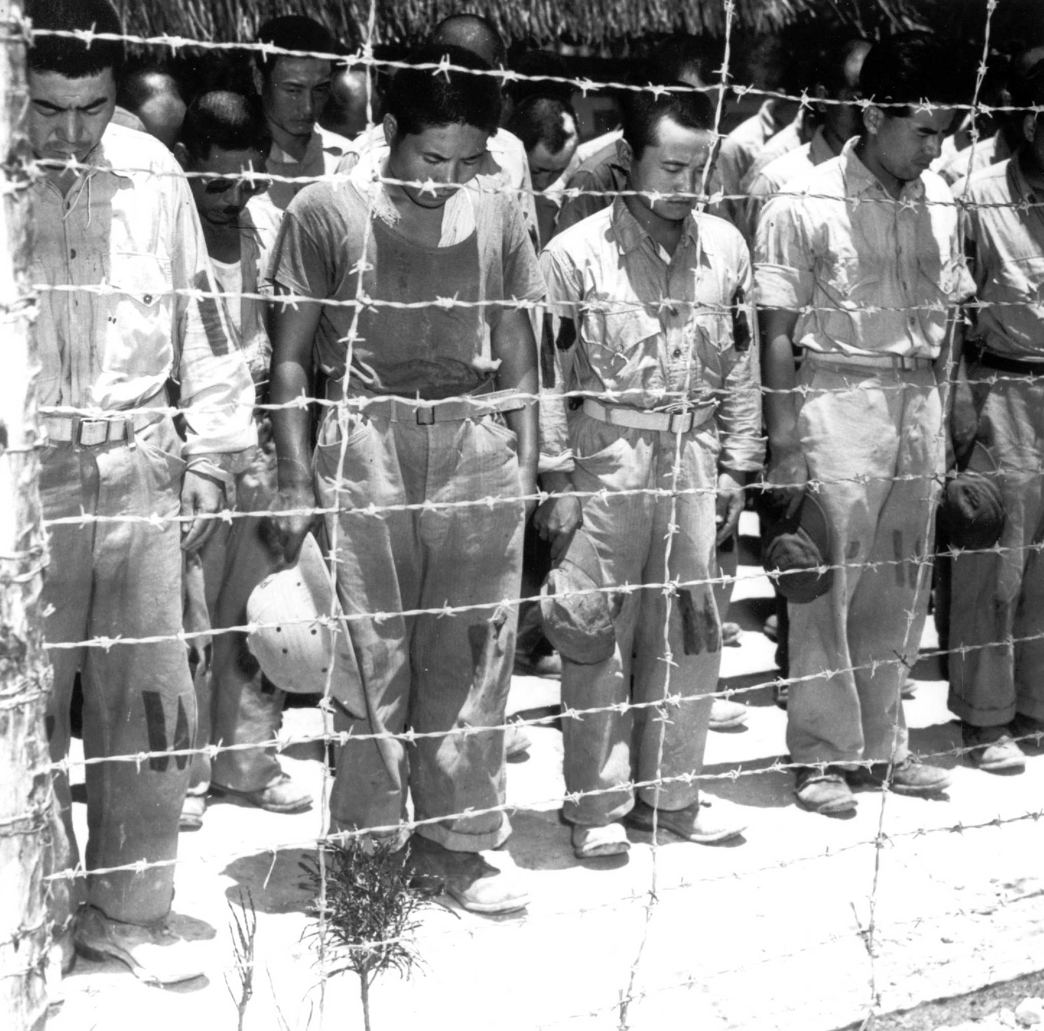 In limbo: Japanese prisoners of war