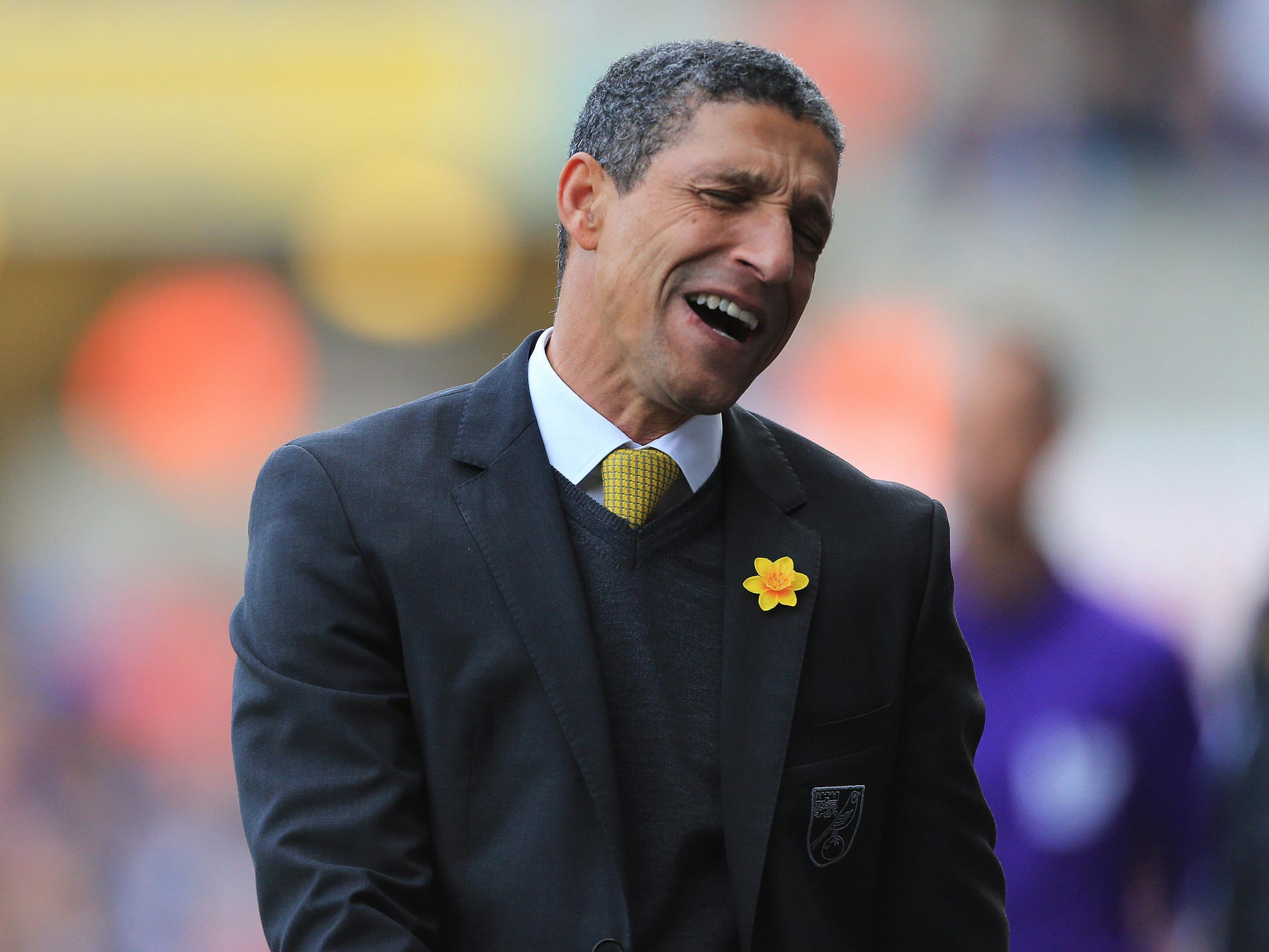 Some Norwich City fans believe that the dismissal of Chris Hughton was a necessary act to give the club a chance of avoiding relegation