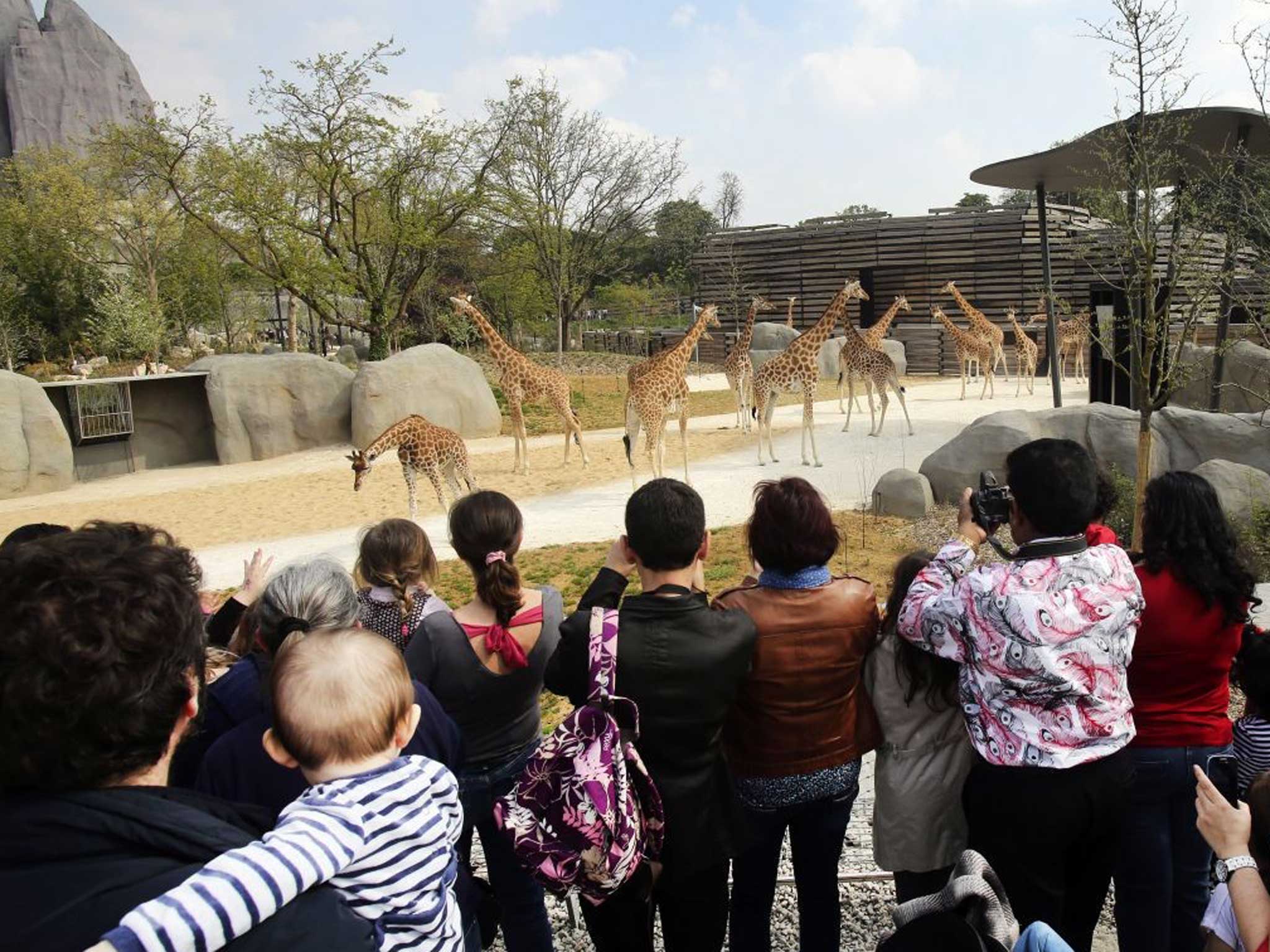 Groundbreaking design and new technology provide zoo animals with near-natural habitats