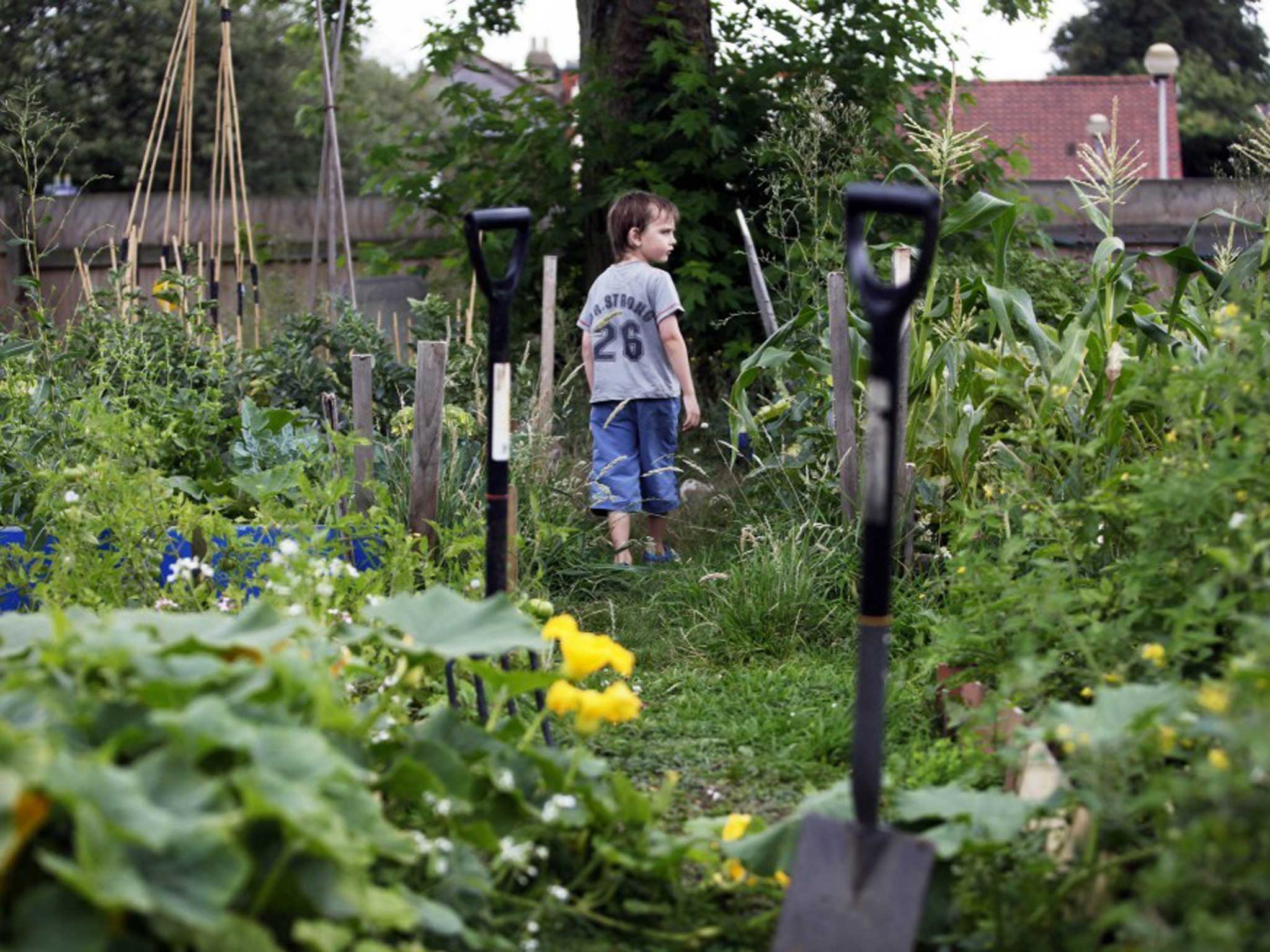Gardening therapy has huge potential for cost savings in the NHS and can speed up recovery time