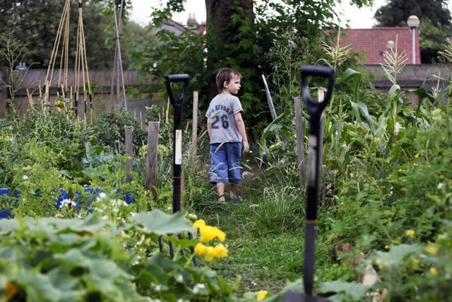 Gardening therapy has huge potential for cost savings in the NHS and can speed up recovery time
