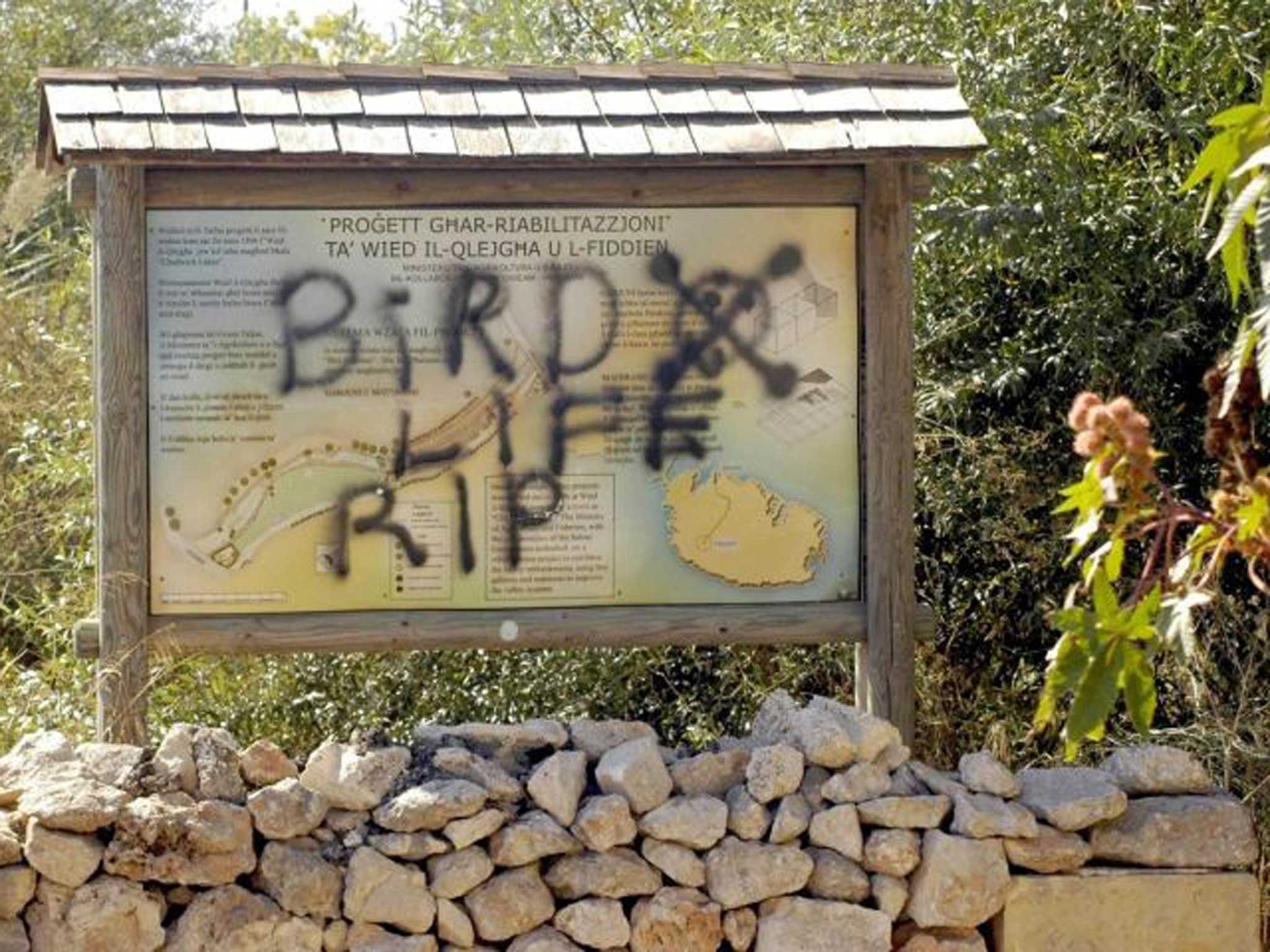 Birds and their protectors, Birdlife Malta, are regular targets on Malta