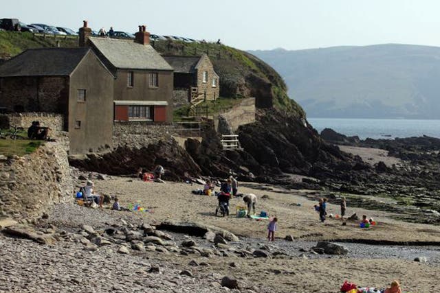 Rock pool party: Low tides expose reefs at Wembury