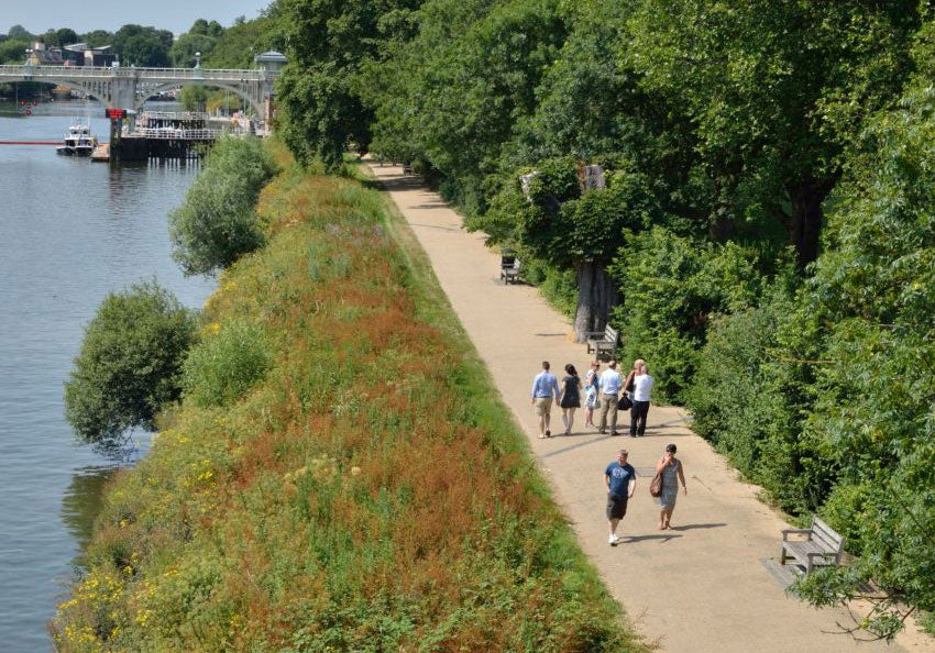 It's the perfect time of year for a walk down the Thames