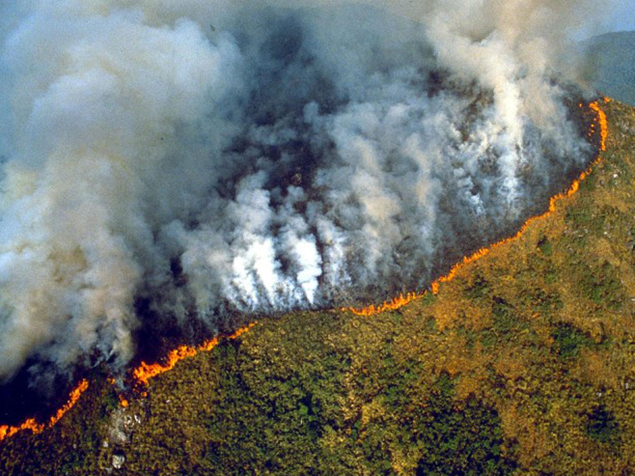 ÎÏÎ¿ÏÎ­Î»ÎµÏÎ¼Î± ÎµÎ¹ÎºÏÎ½Î±Ï Î³Î¹Î± amazon fires