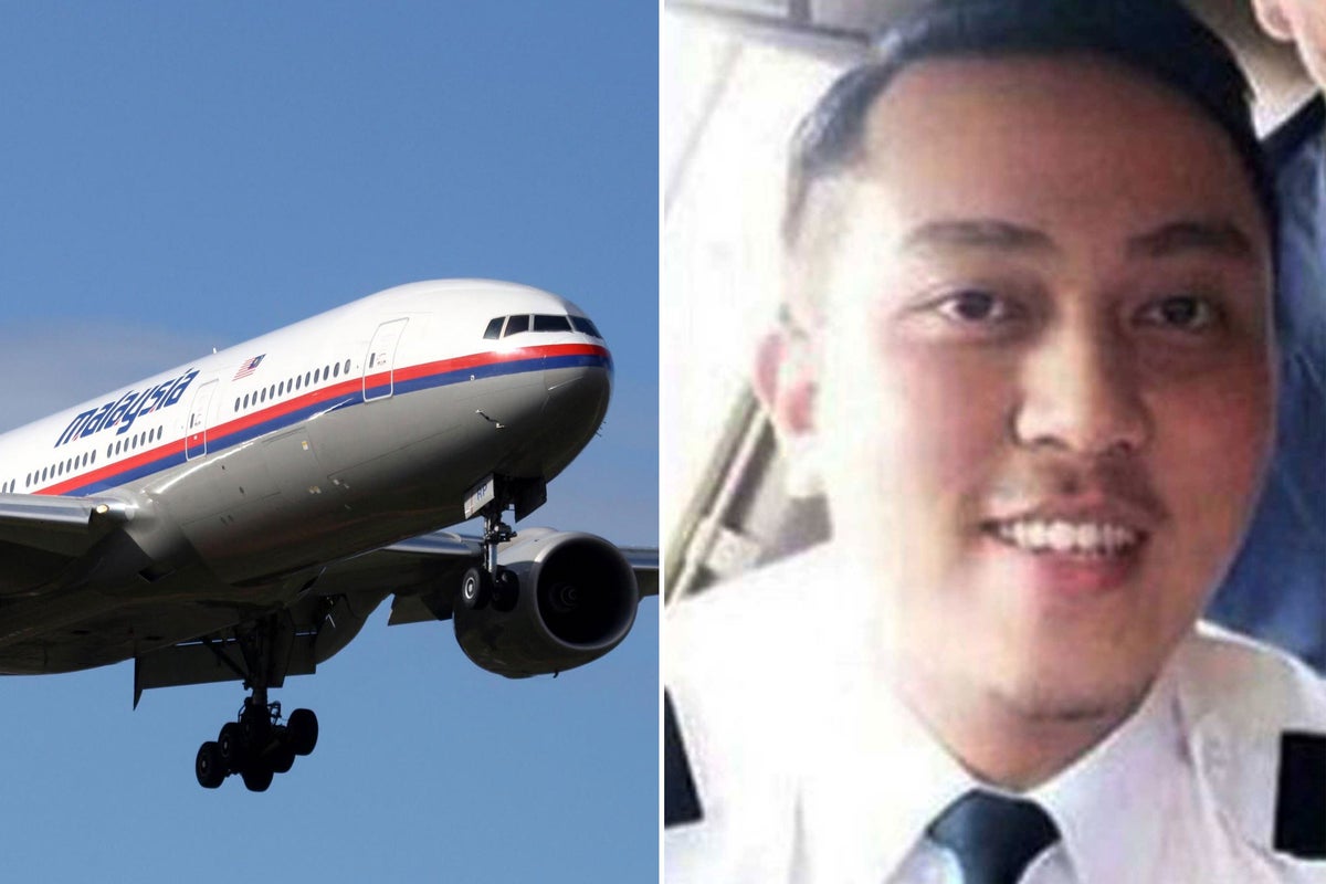 Malaysia Airlines MH370 co-pilot's phone 'was on and made contact with  network tower' 30 minutes after plane turned around | The Independent | The  Independent