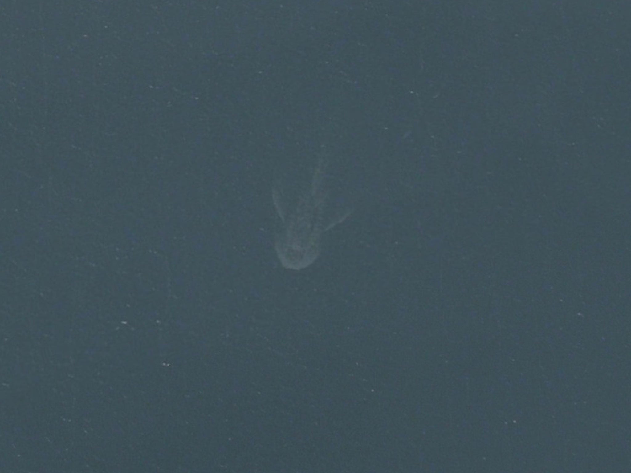 An image from Apple Maps, which has been interpreted as the Loch Ness monster in the Scottish Highlands