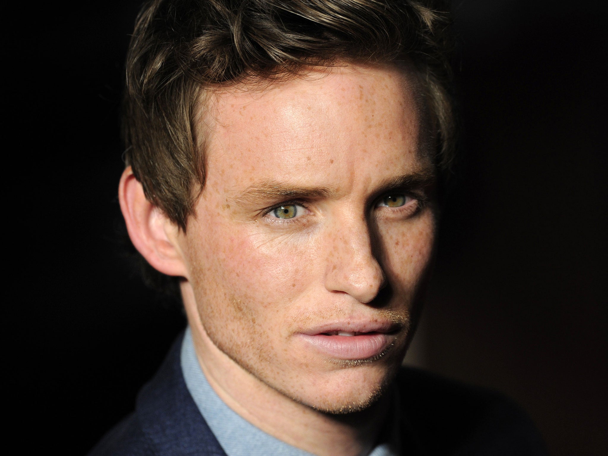 Eddie Redmayne will play Danish painter Einar Wegener in a movie adaptation of The Danish Girl