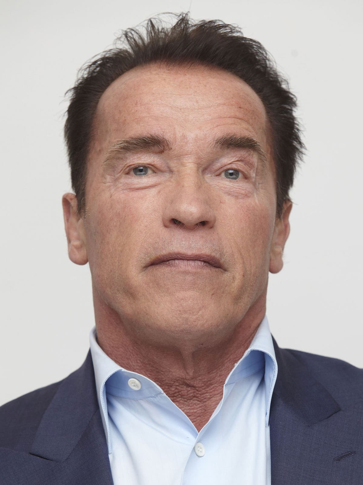 Arnold Schwarzenegger interview The last action hero is back The