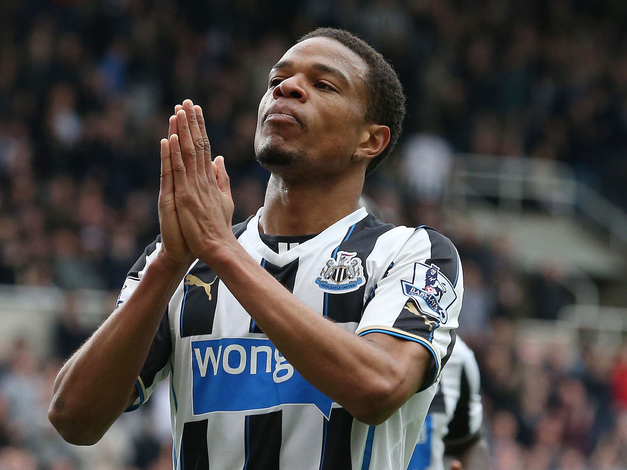Loic Remy in action for Newcastle