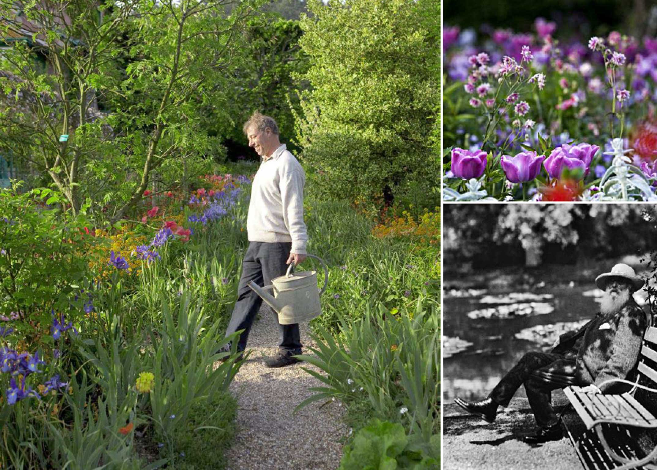 Picture this: James Priest gardening; right, the artist at Giverny in 1910; top, blooming ‘paint boxes’