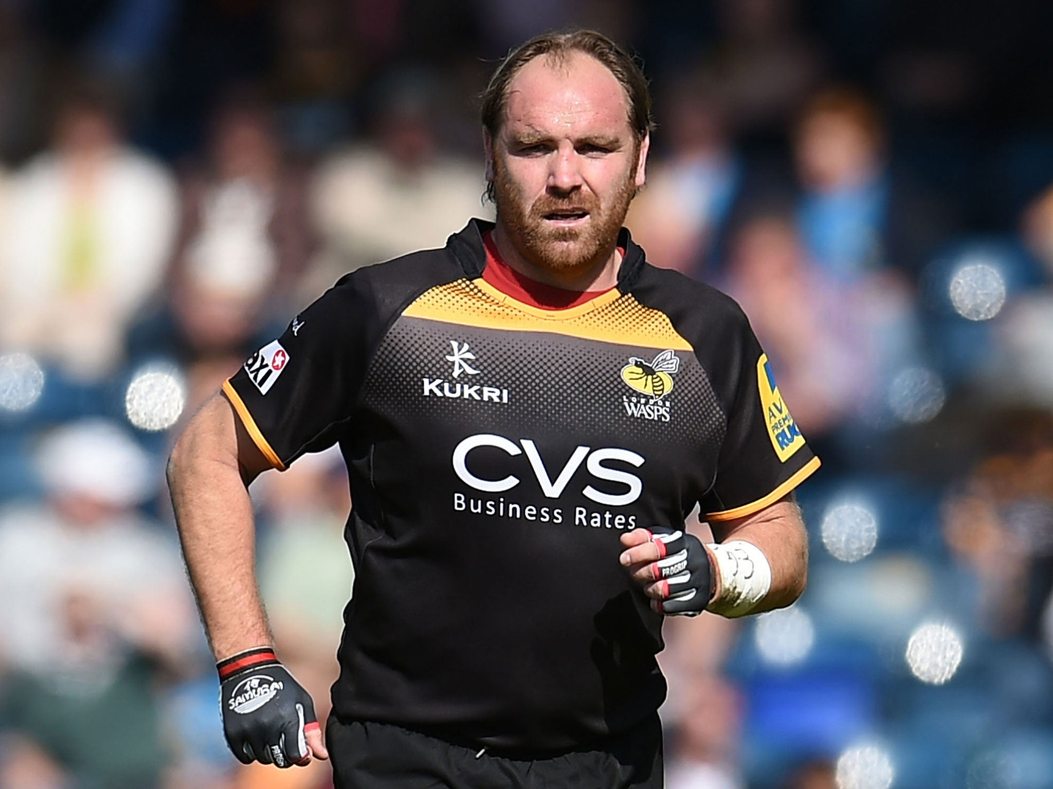 Andy Goode in action for Wasps against Newcastle on Saturday