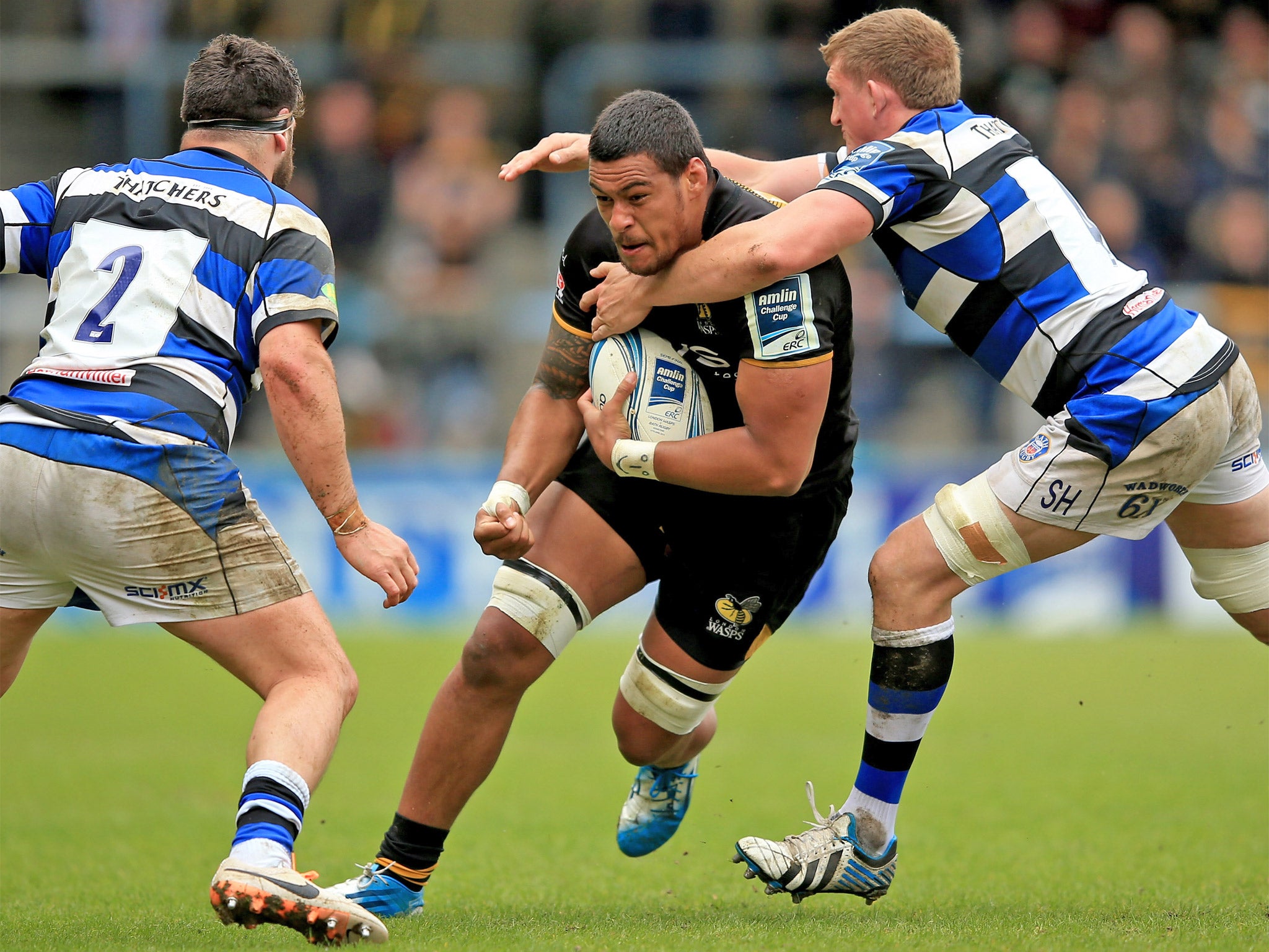 Wasps’ Fijian-born No 8 Nathan Hughes will be eligible for England in 2016