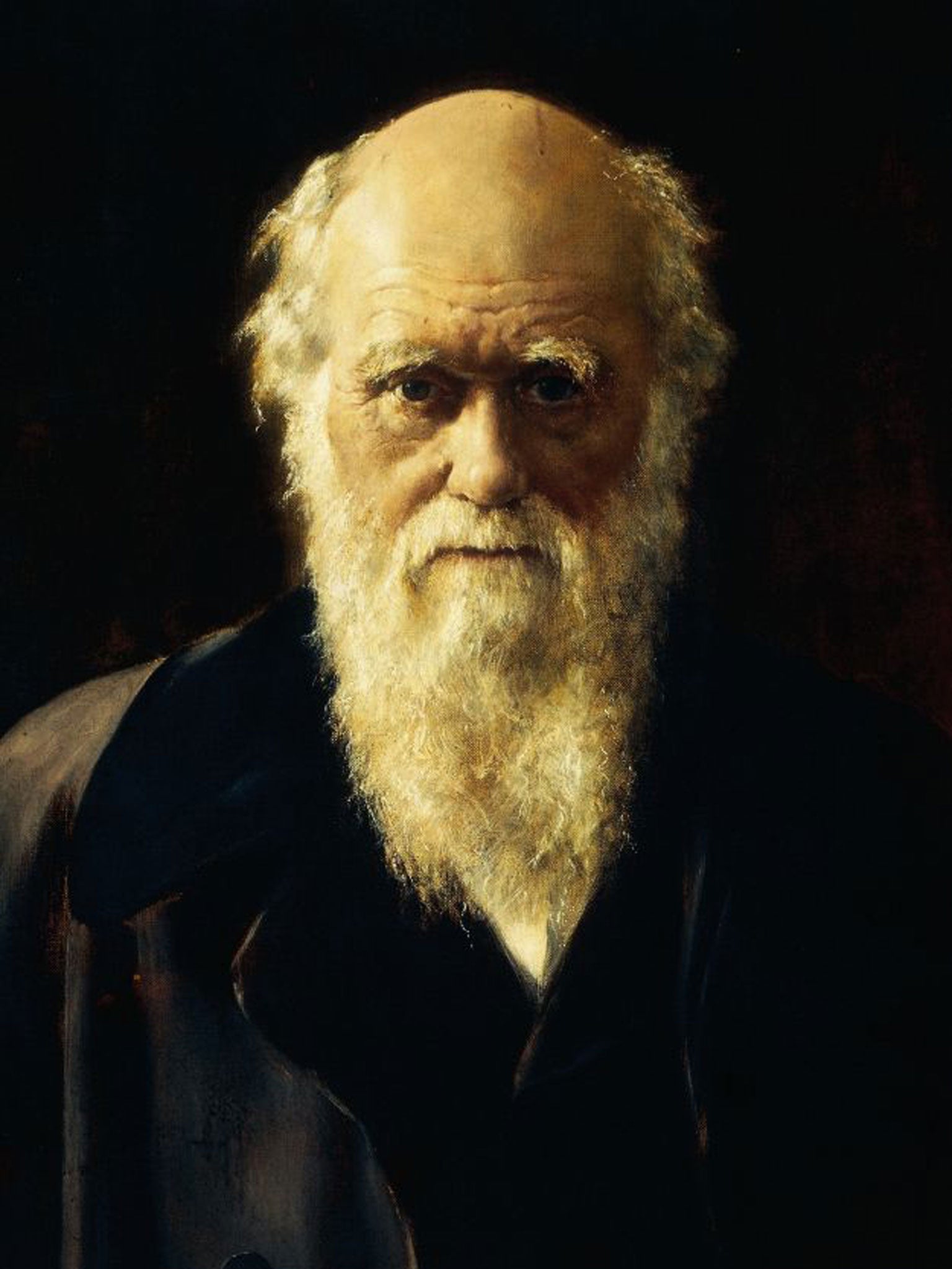 Keynes says of her great-great-great-grandfather (pictured): 'I knew Darwin was a very tolerant and civilised person