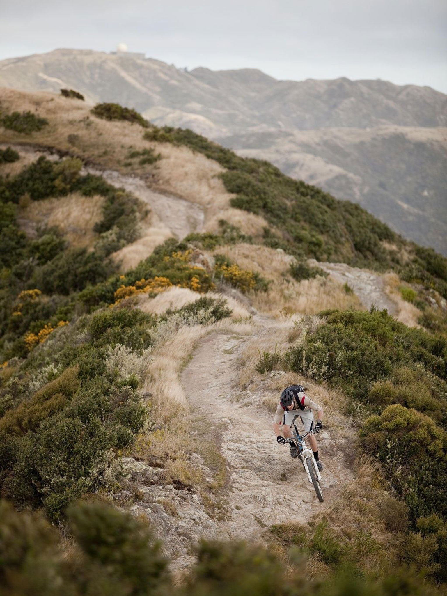 Wheel deal: the New Zealand Cycle Trail takes in epic scenery