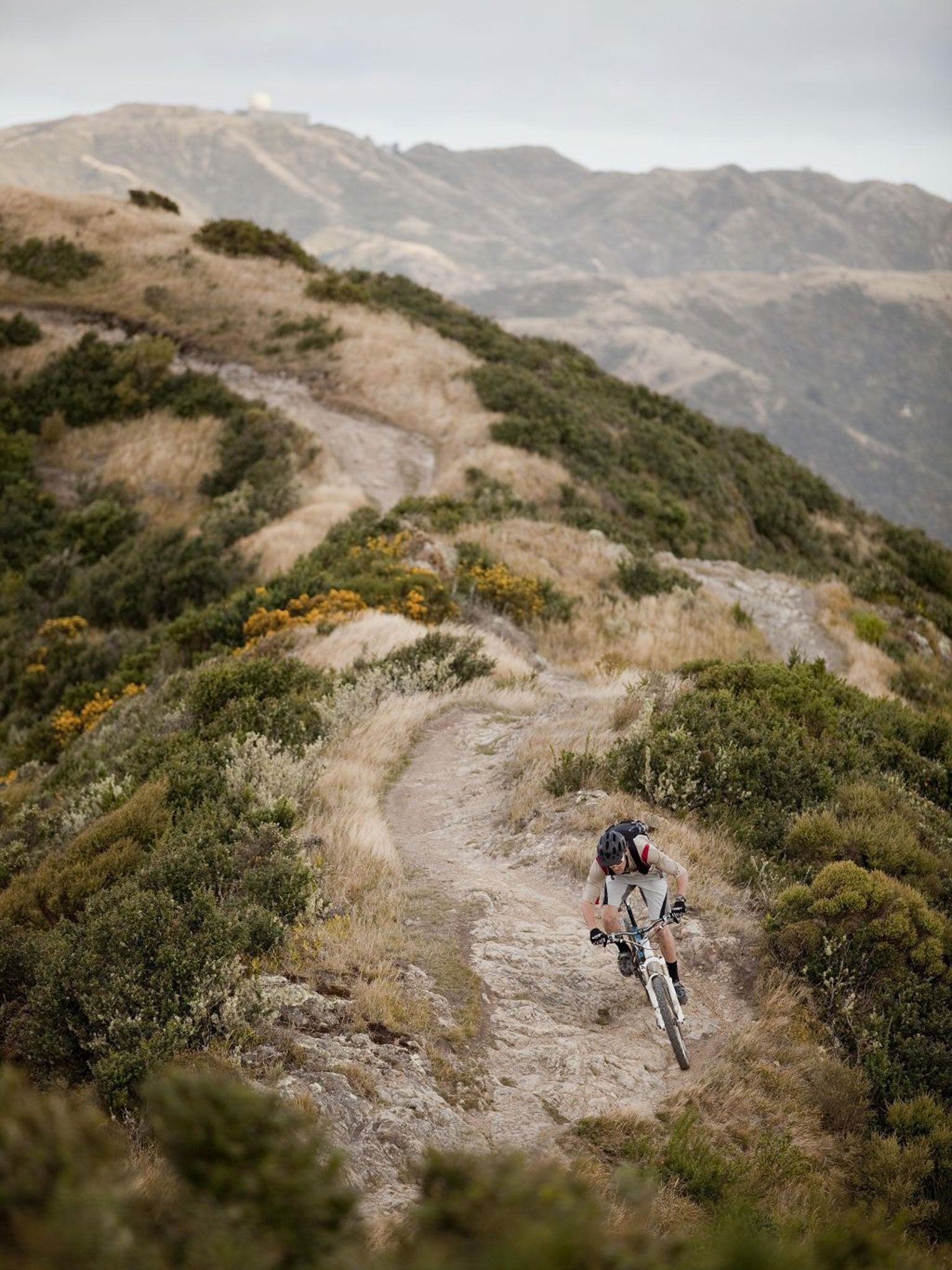 On your bike for an epic mountain adventure in New Zealand | The  Independent | The Independent