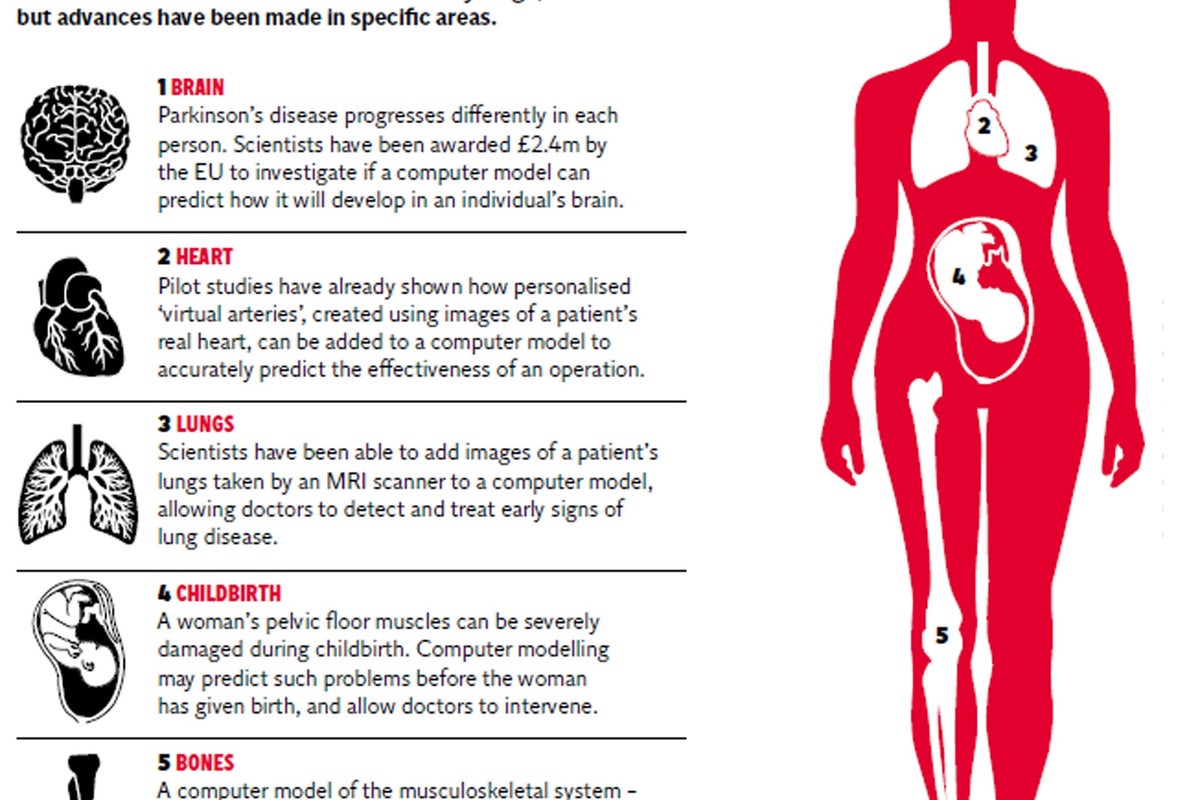 In silico: First steps towards a computer simulation of the human body ...