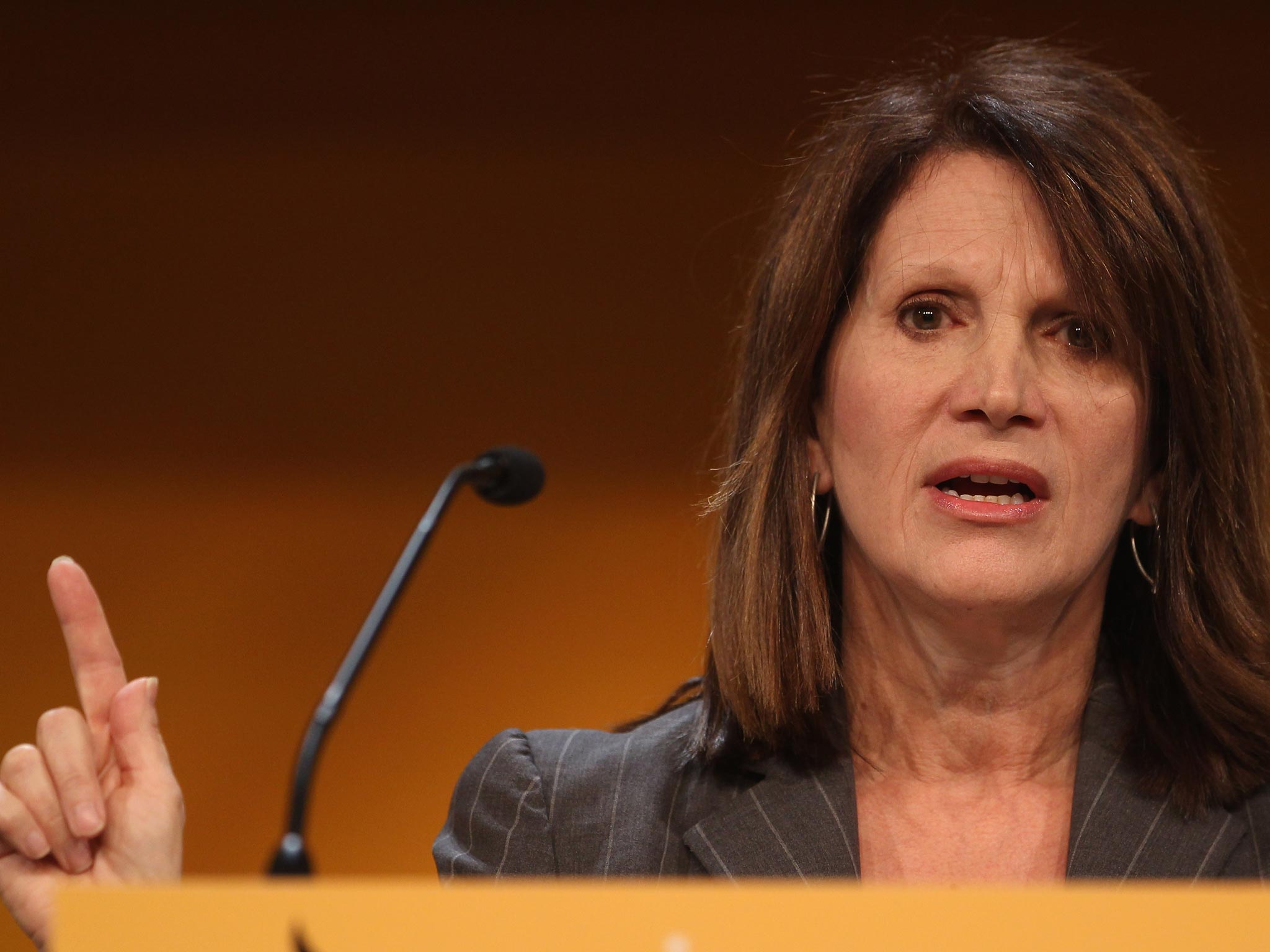 Lynne Featherstone is one a handful of female Liberal Democrat MPs. Nick Clegg acknowledged his embarrassment that just 12 per cent of the Lib Dem MPs elected in 2010 were women