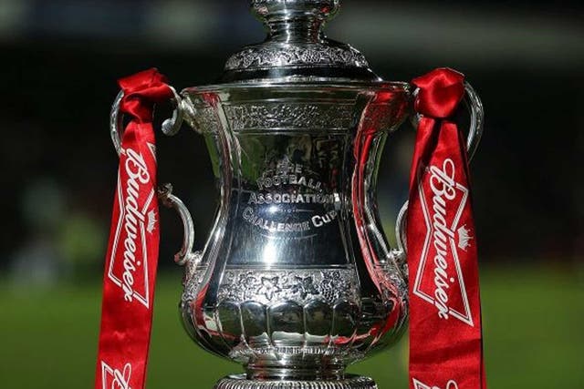 Cup runneth out: FA have yet to seal a sponsorship deal for next season