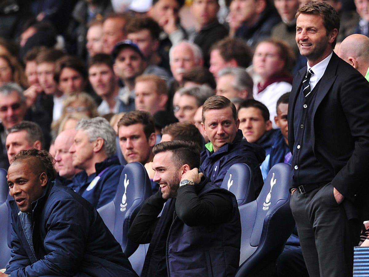 Tim Sherwood Dugout Fan: 'i Just Told Him To Make A Few Substitutions 