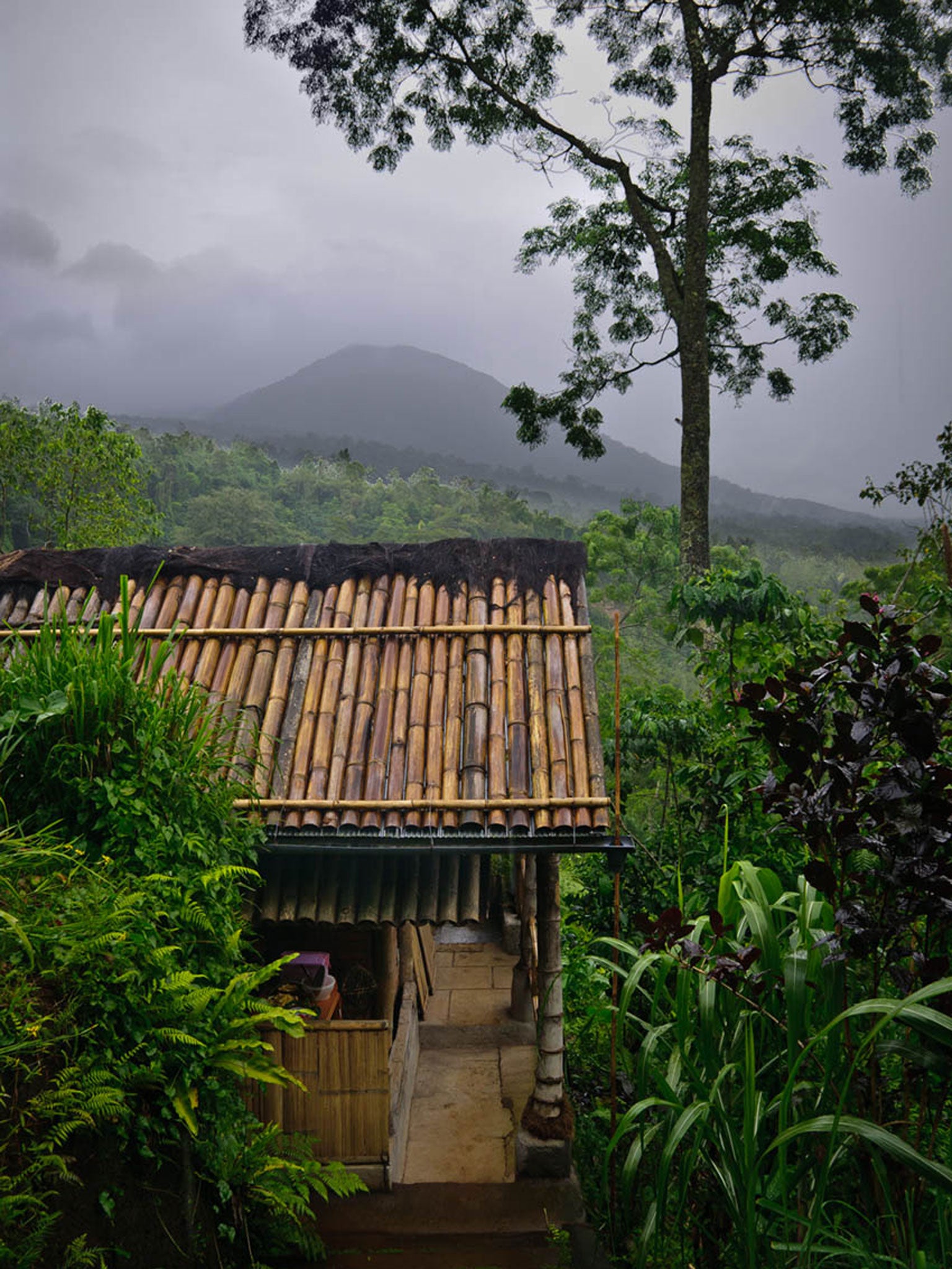 The Jatiluwih rice terraces