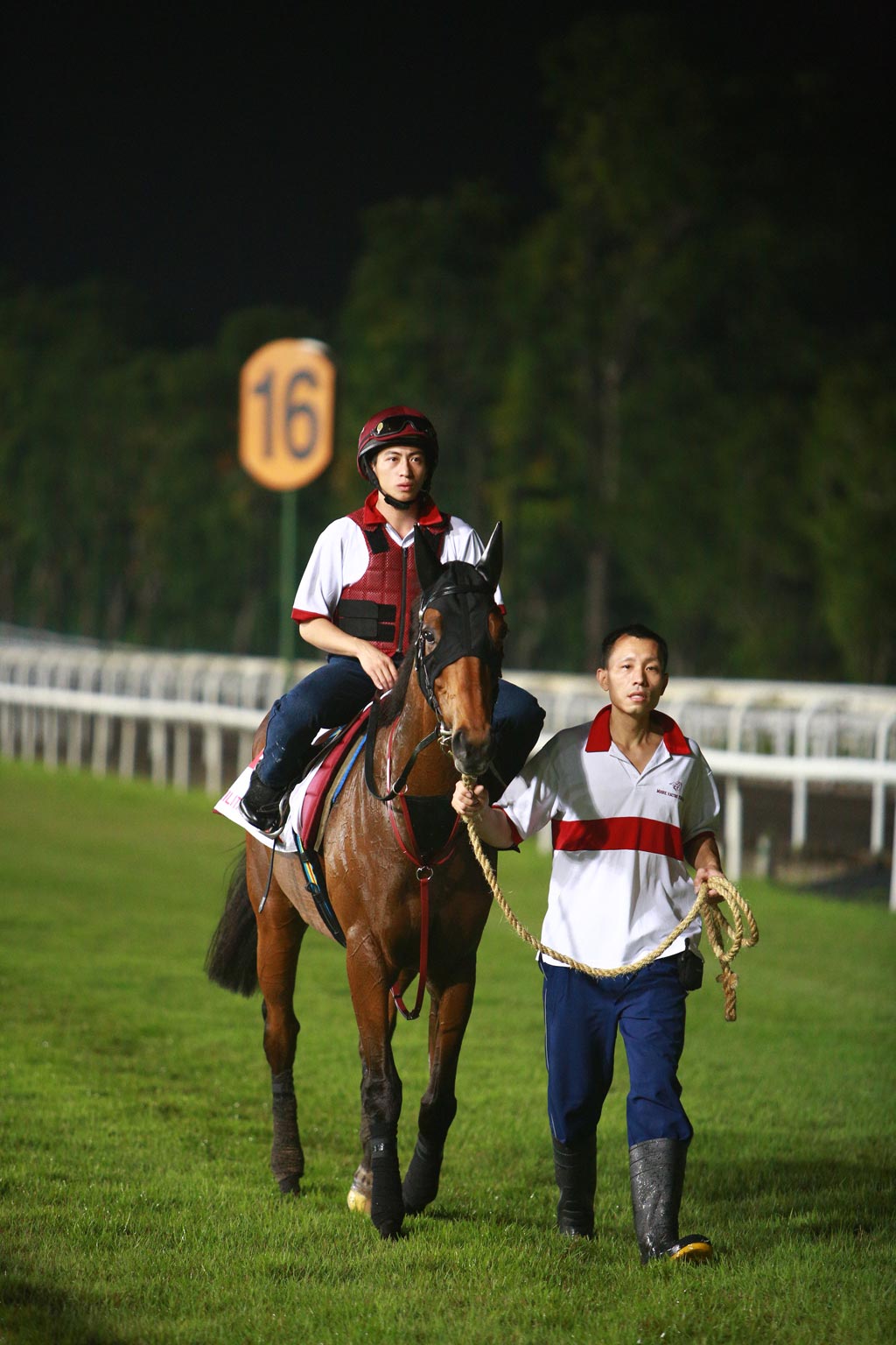 Final preparations for the Singapore International Cup are underway/©Singapore Turf Club