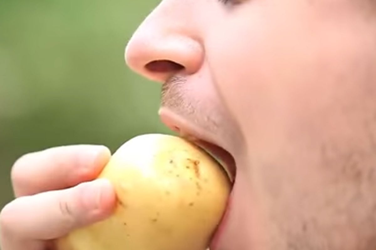 Video mocking 