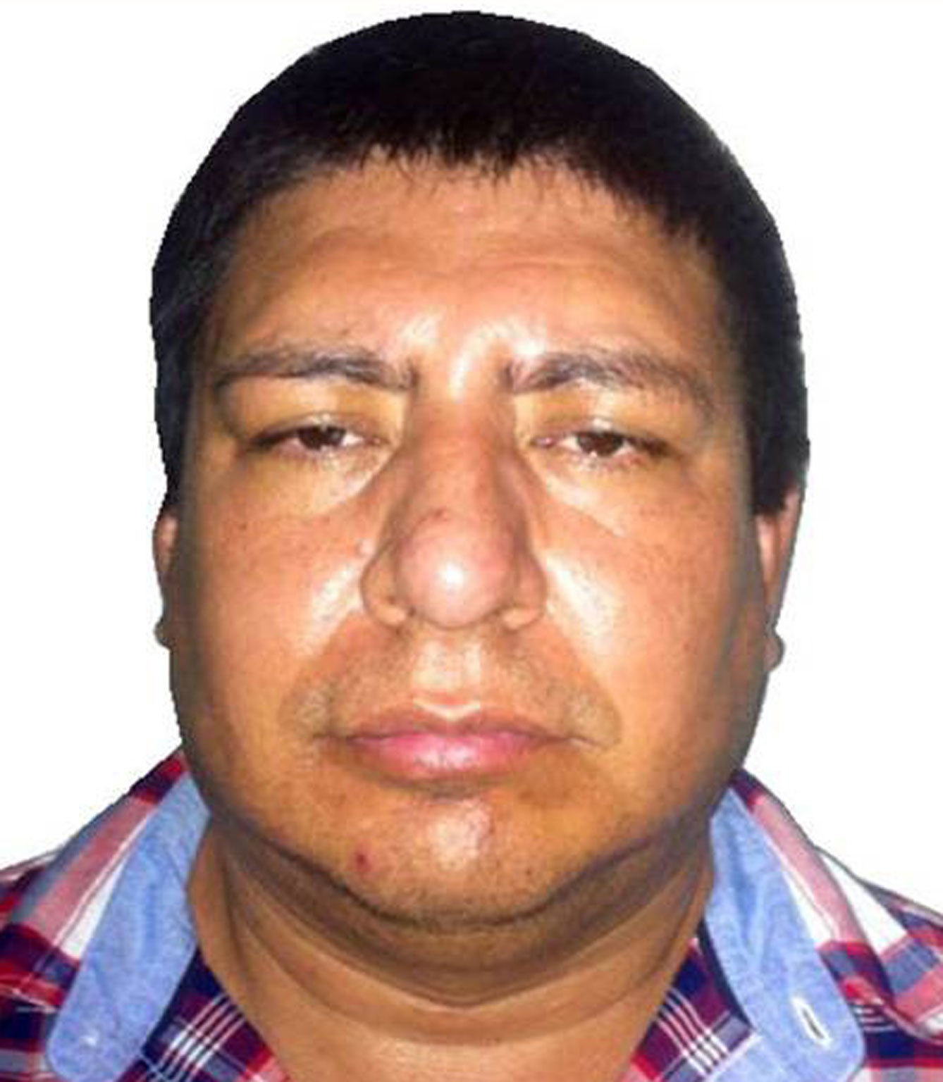 Mexico’s Los Rojos cartel leader 'The Tiger' arrested | The Independent