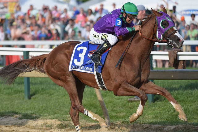 California Chrome #3, ridden by Victor Espinoza, races to the finishline to win the 139th running of the Preakness Stakes at Pimlico Race Course