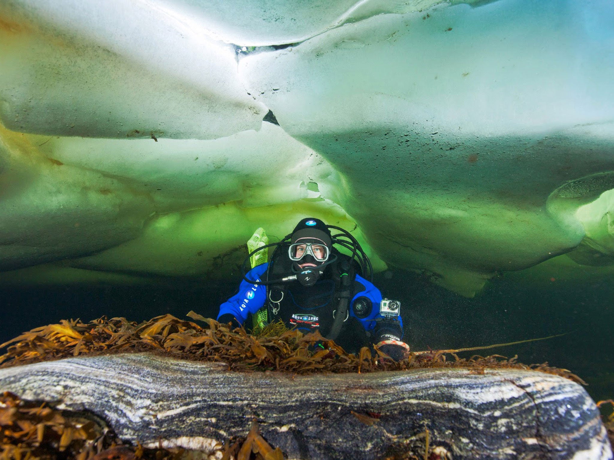 Olga Grum-Grzhimaylo, a member of the Aquatilis team, dives beneath the ice to collect scientific samples in the White Sea, Russia. Scientists currently know of only about 1,000 species of gelatinous zooplankton, the basis of the marine food chain – an es
