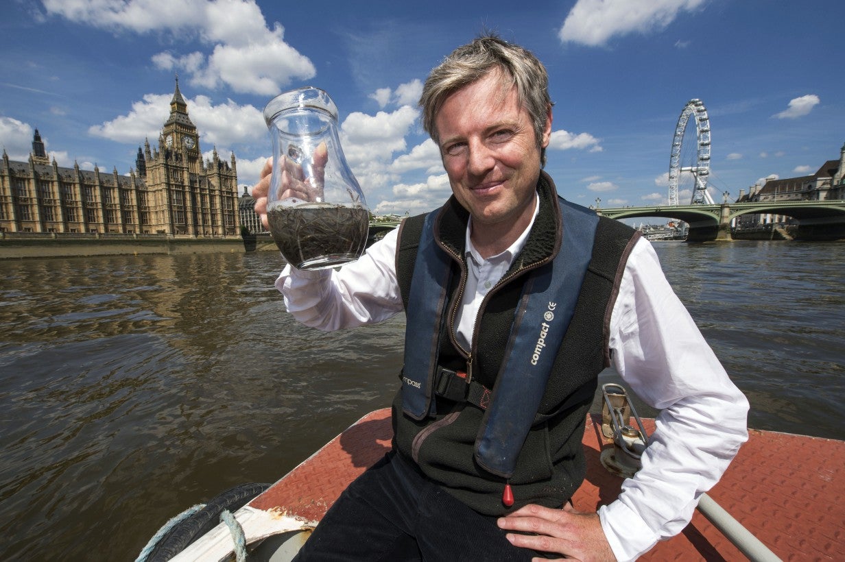 Zac Goldsmith MP introduced 10,000 juvenile eels into the River Thames as part of a conservation mission by The Sustainable Eel Group