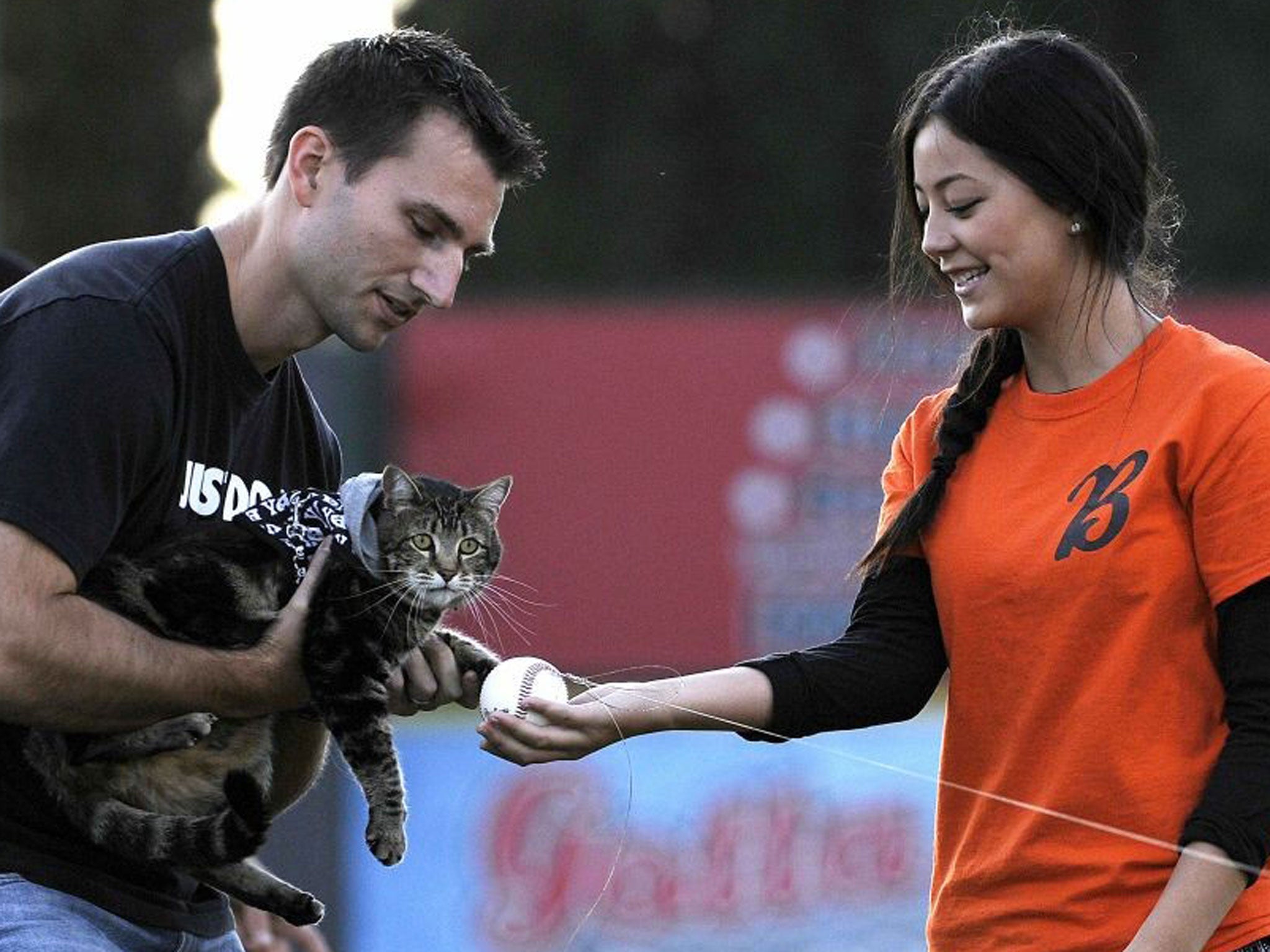 Hero cat Tara, with the help of her owner Roger Triantafilo (L) and team staff member Jade Henry, tosses the first pitch prior to the start of Bakersfield Blaze and Lancaster Jayhawks Single A baseball game in Bakersfield, California May 20, 2014.