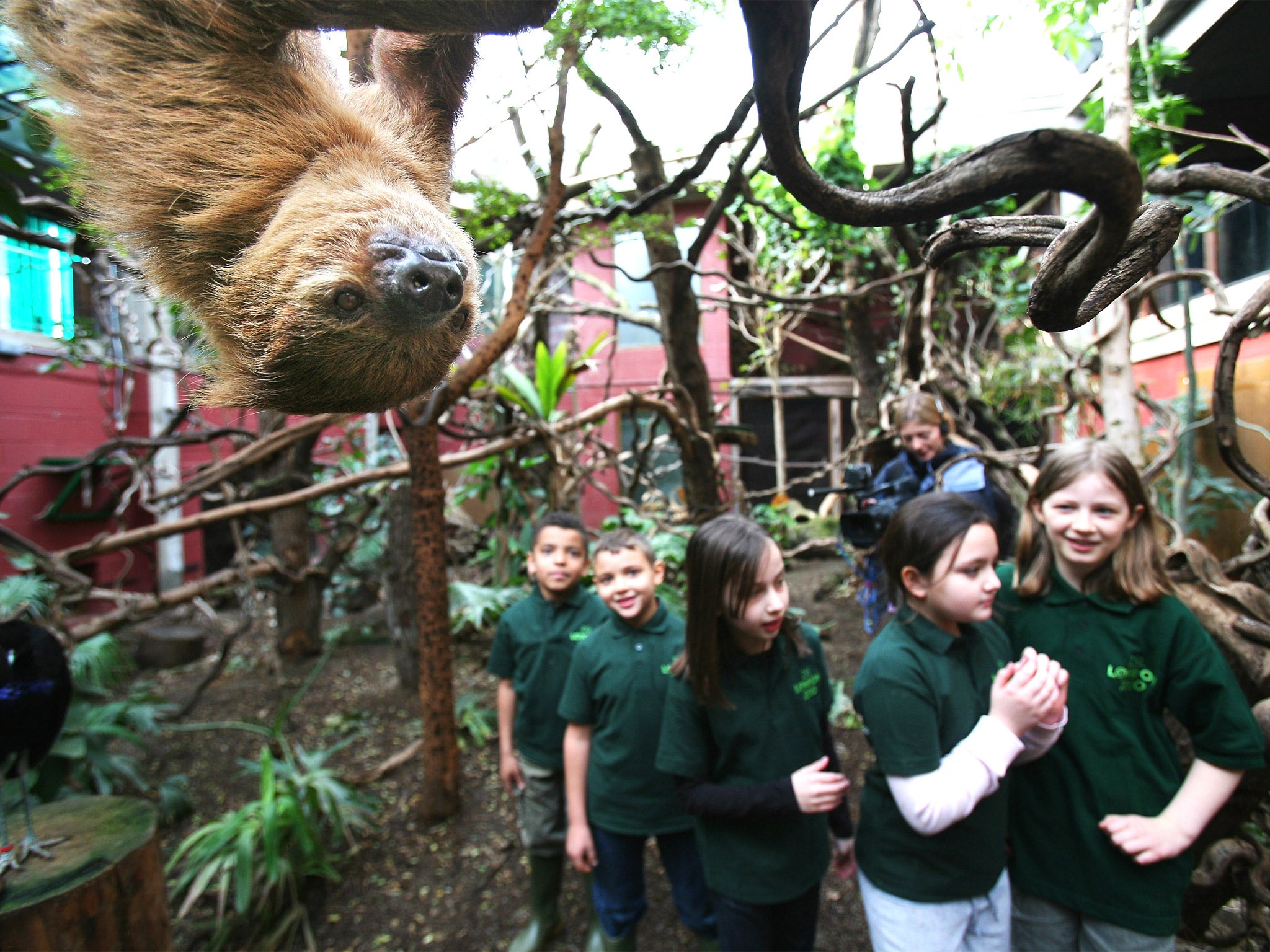 Close encounters with animals inspired pupils to write to much higher standards