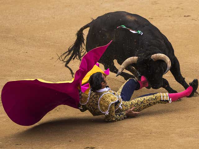 <p>Mexico City is considering a ban on bullfighting </p>