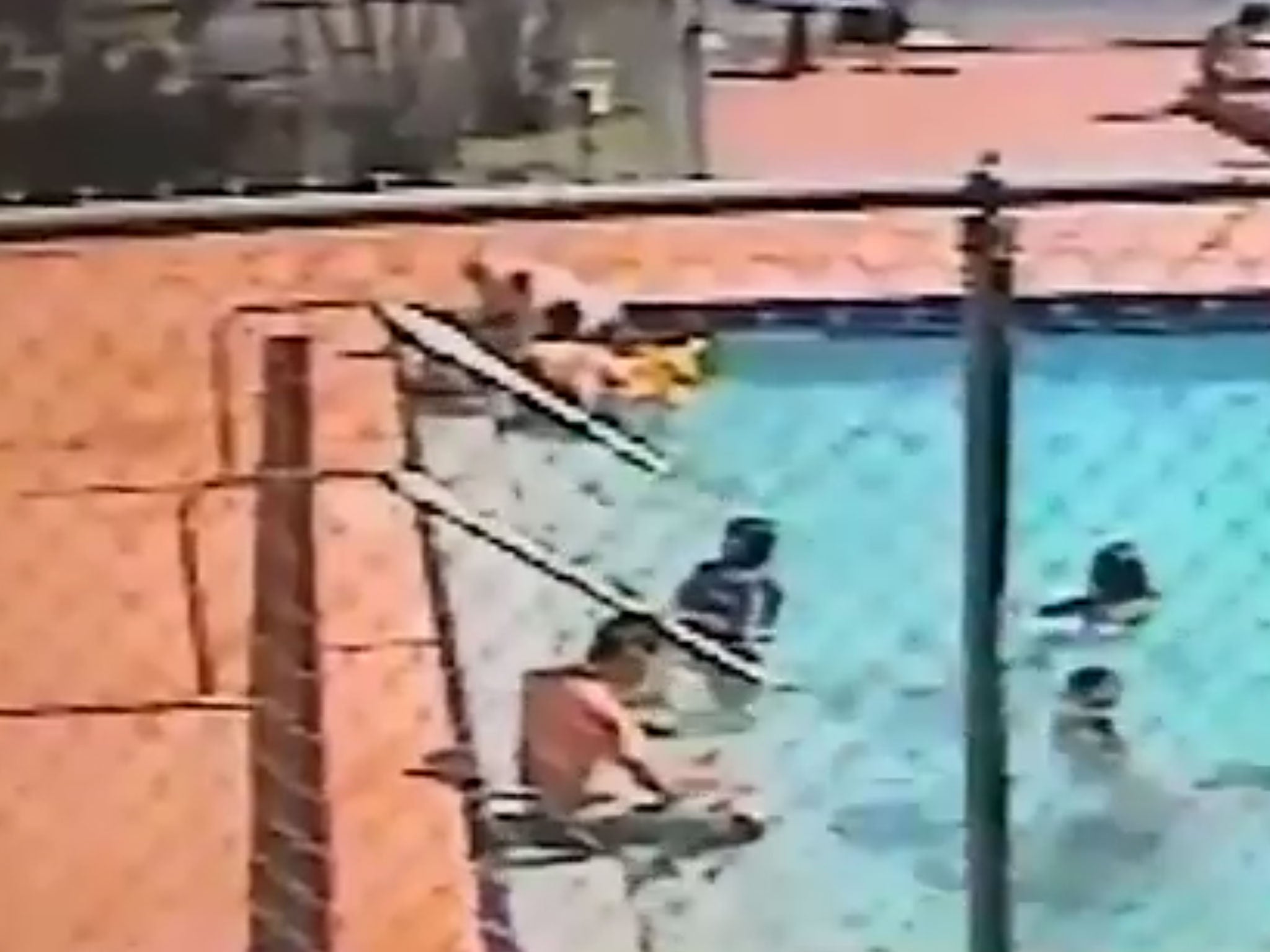 A number of people were swimming in the pool in Hialeah when the incident occurred