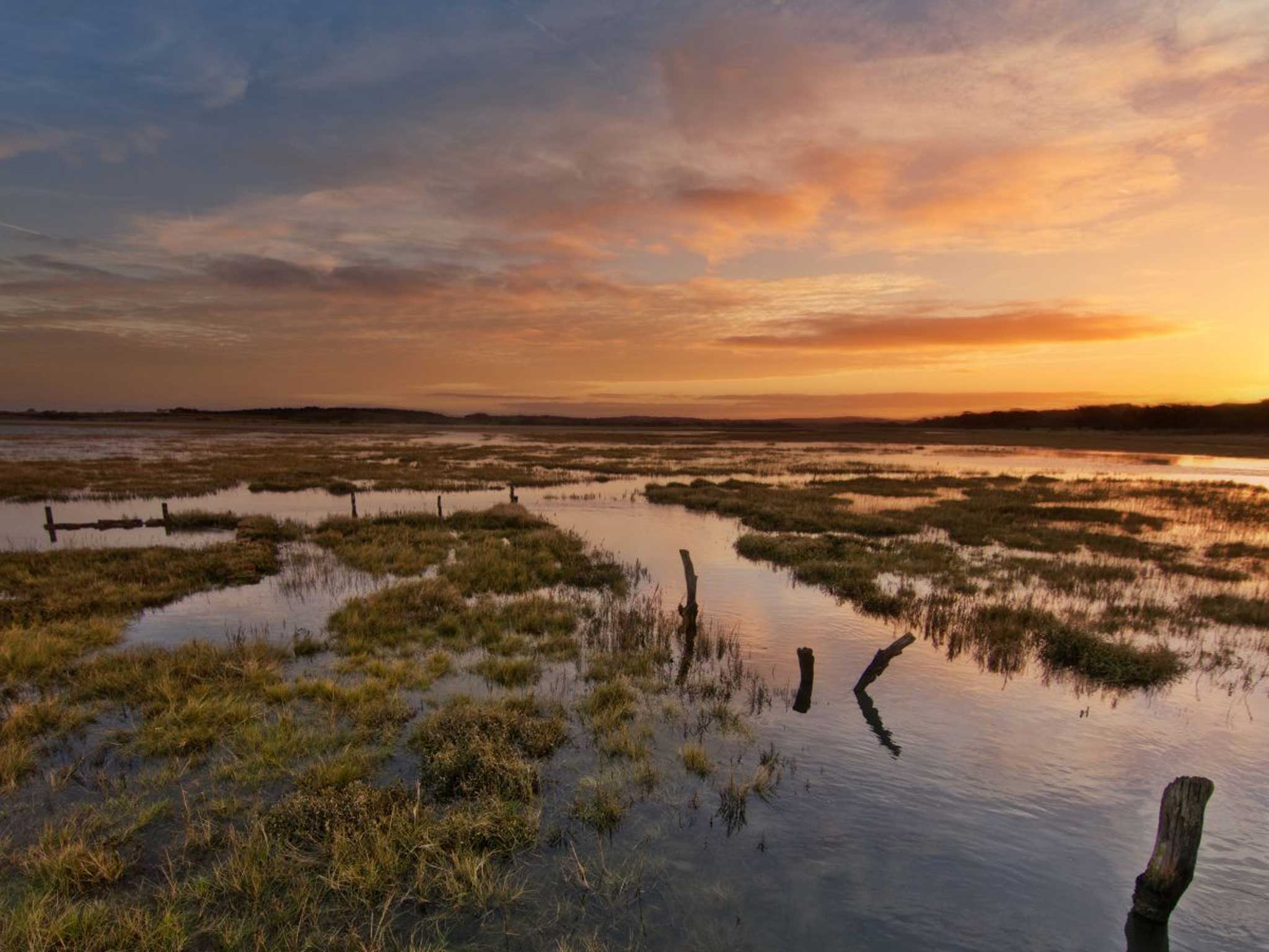 Newtown Creek, Isle of Wight