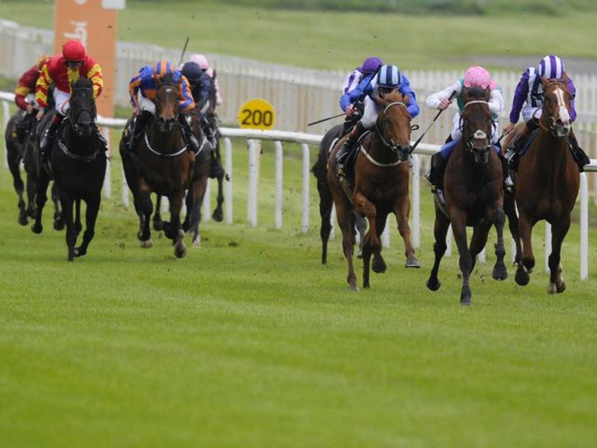 Regal romp: Kingman and James Doyle (second right) cruise towards a five-length victory at the Curragh