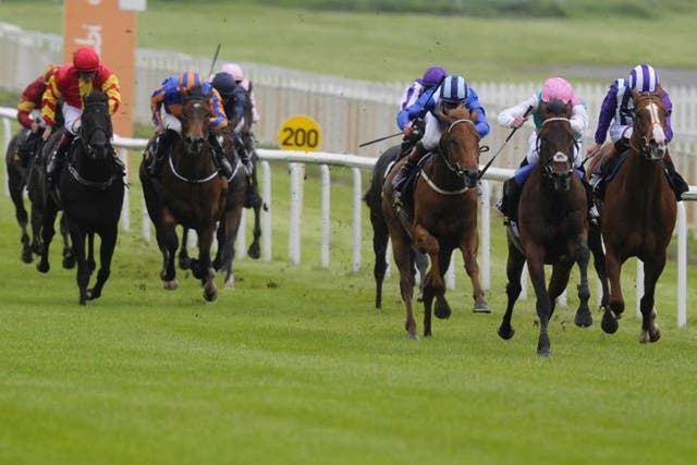 Regal romp: Kingman and James Doyle (second right) cruise towards a five-length victory at the Curragh