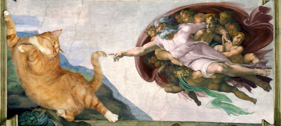 Michelangelo's 'Creation of Adam', now with cat