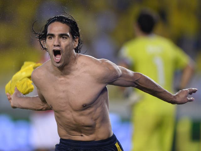 World Cup 2014: Radamel Falcao ruled of touurnament after failing to recover from knee injury | The Independent | The Independent
