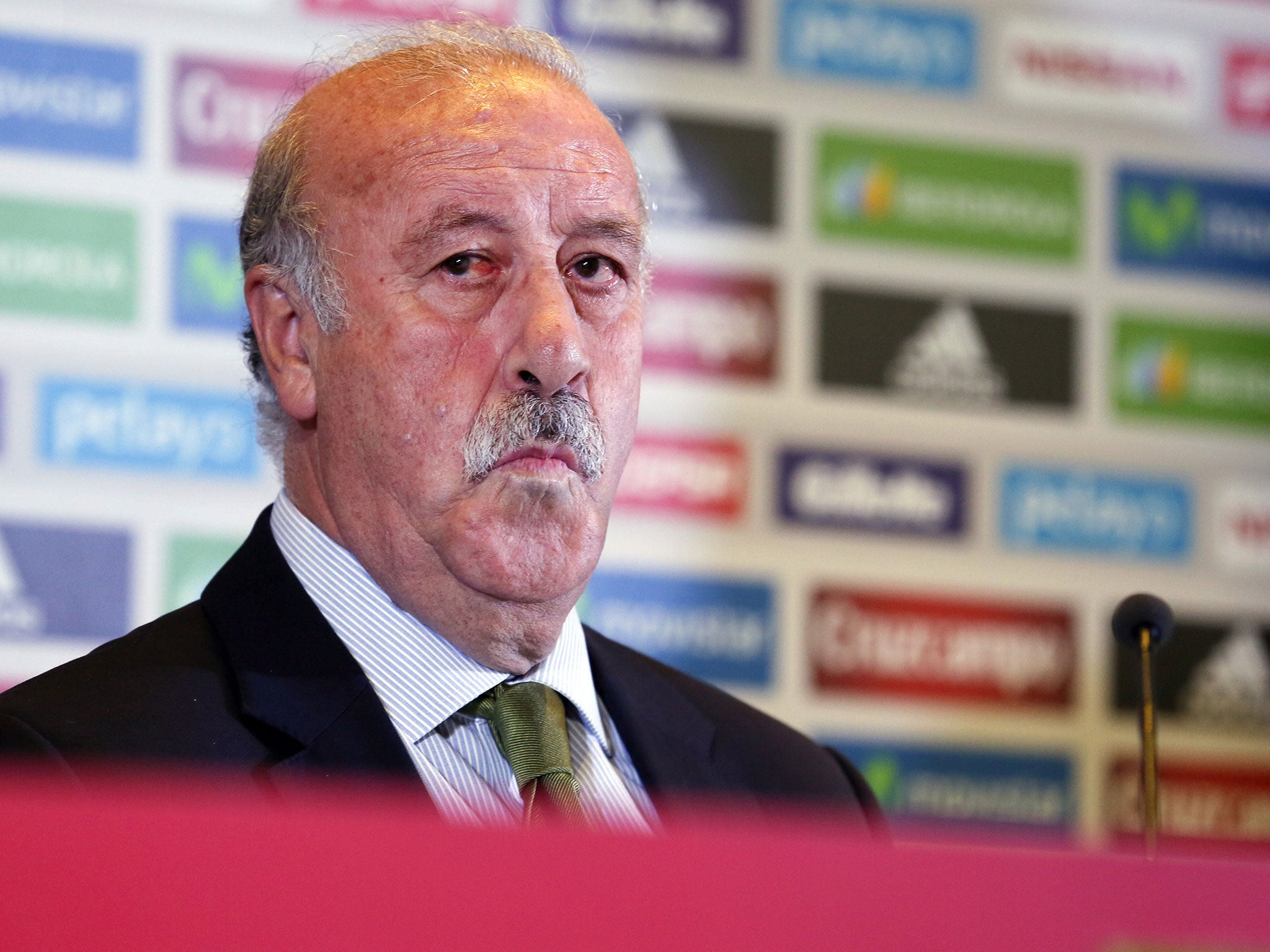 Vicente del Bosque pictured in the build-up to the World Cup