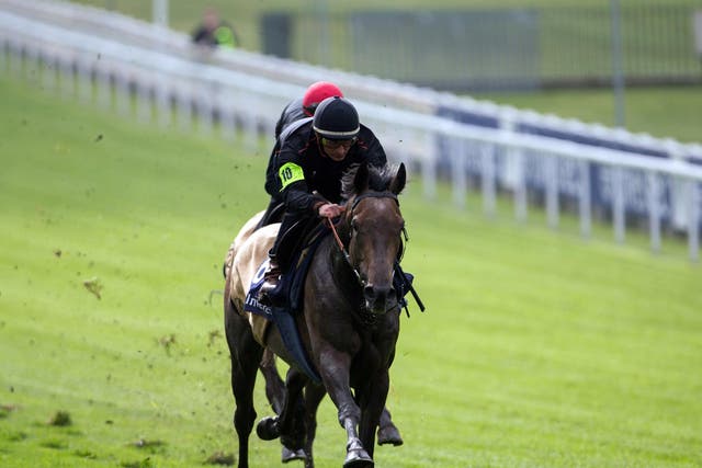 Andrea Atzeni rides the Derby contender Kingston Hill in a gallop at Epsom yesterday