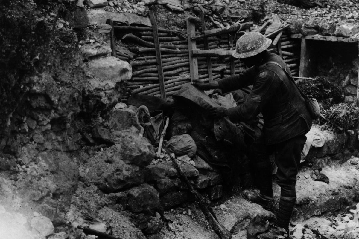 A History of the First World War in 100 Moments: Life - and 