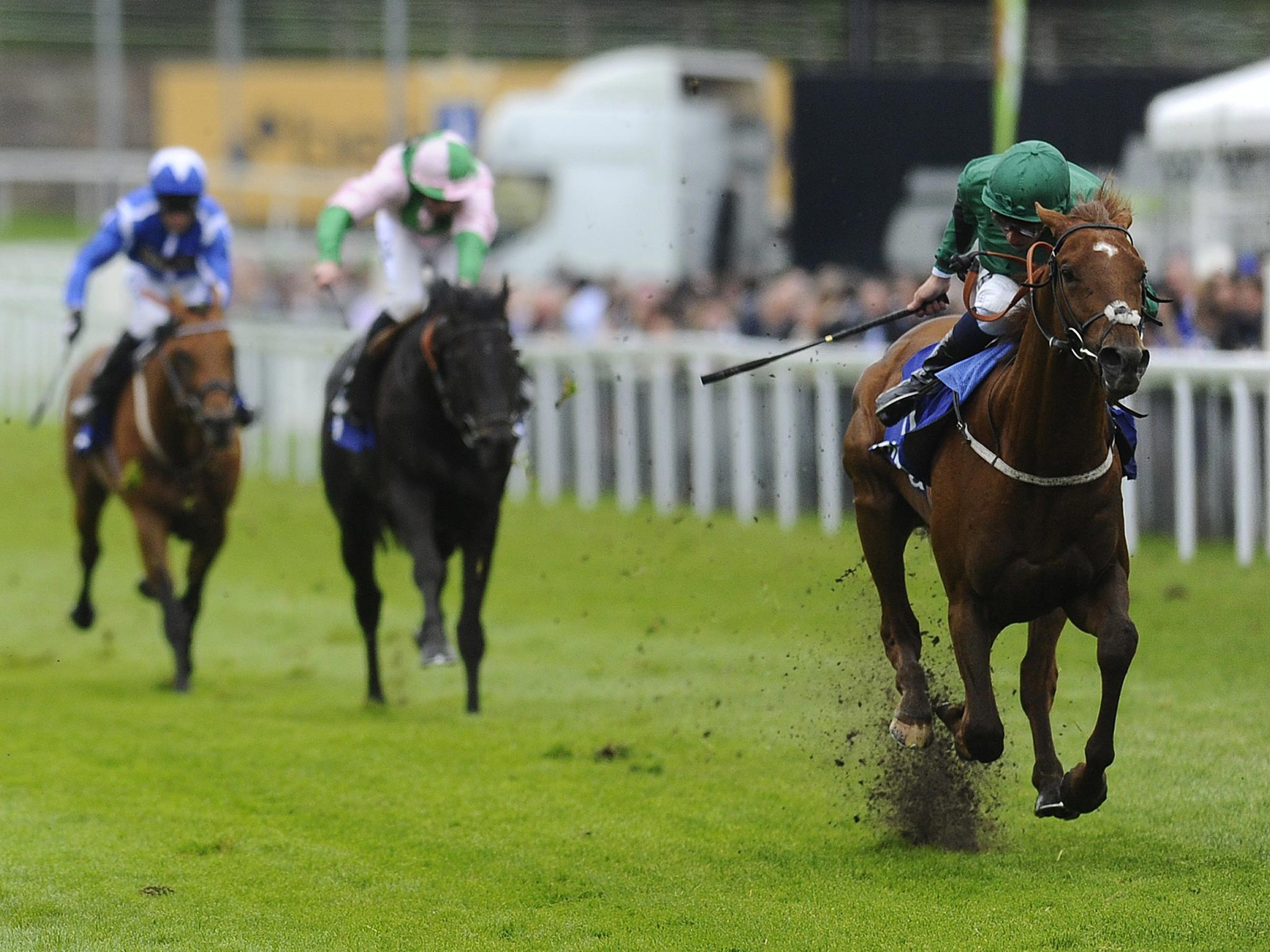 The Chester Vase second Romsdal may still be given
a late entry for next Saturday’s Derby