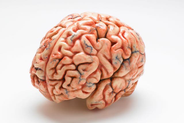 A new paper argues the public good outweighs all personal concerns over brain research