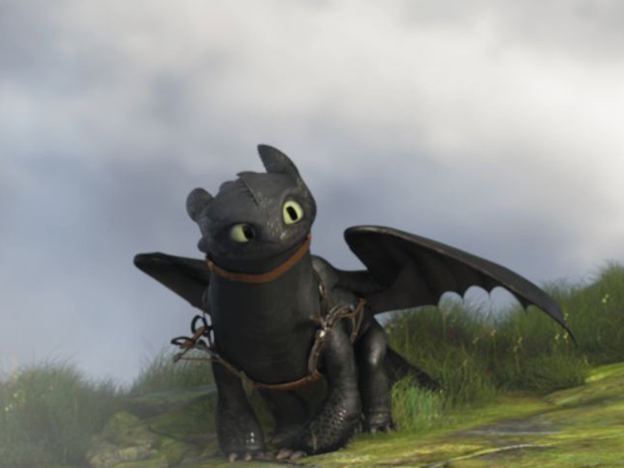 How to Train Your Dragon